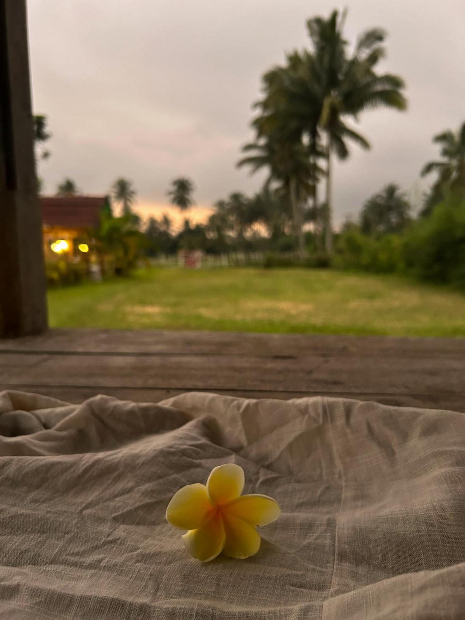 Linkgreen Homestay Lombok Tetebatu Esterno foto