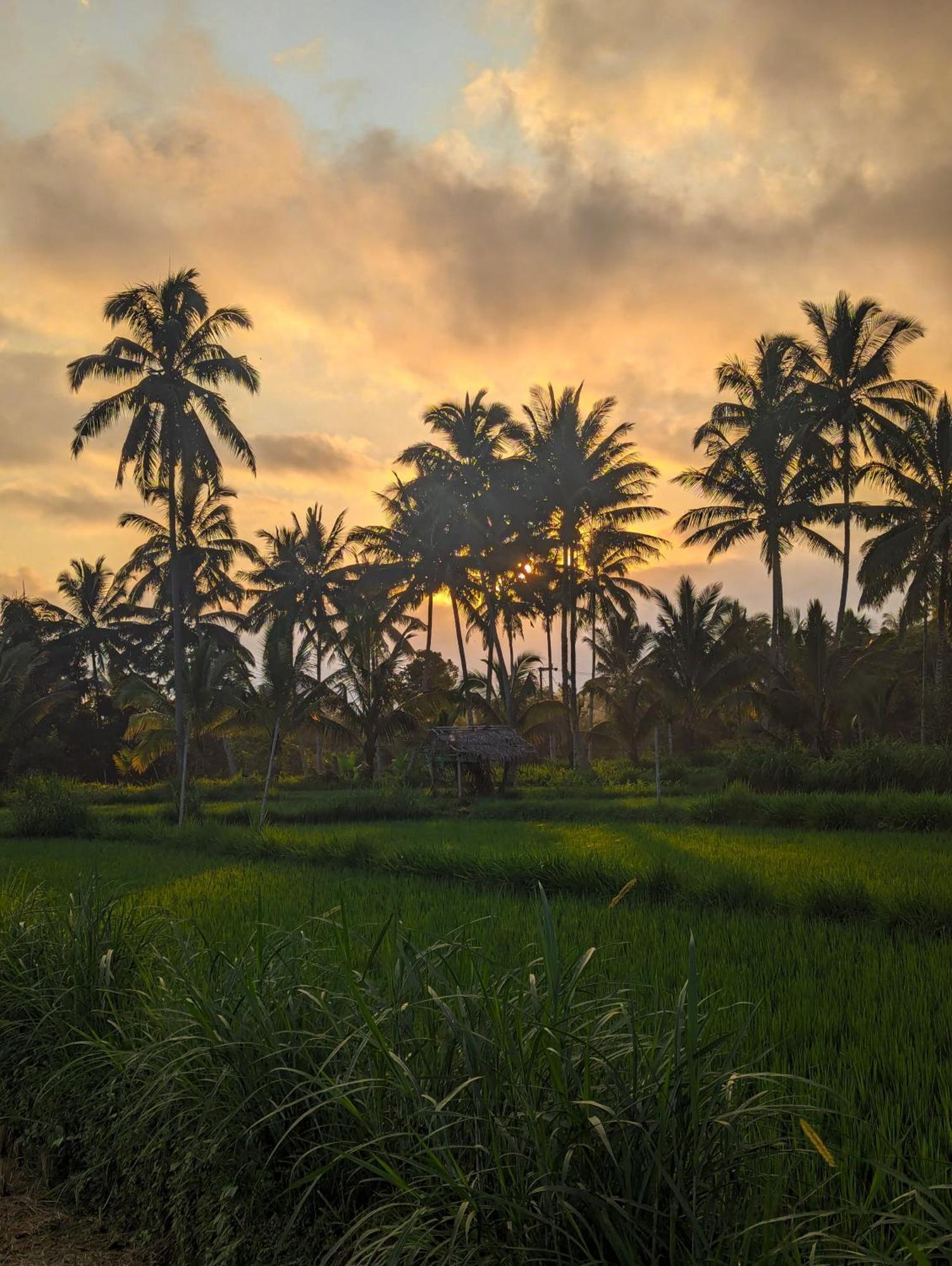 Linkgreen Homestay Lombok Tetebatu Esterno foto